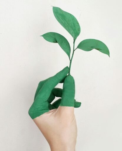 pexels photo 886521 886521